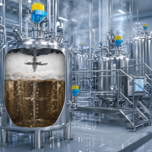 Fermentation Tank Level Measurement Hygienic Radar and Tuning Fork Switches Foam and GMP