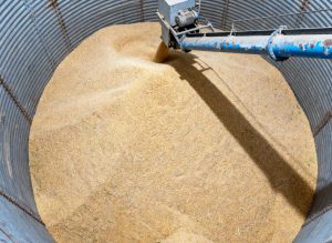 Radar Level Transmitters in Grain SILO
